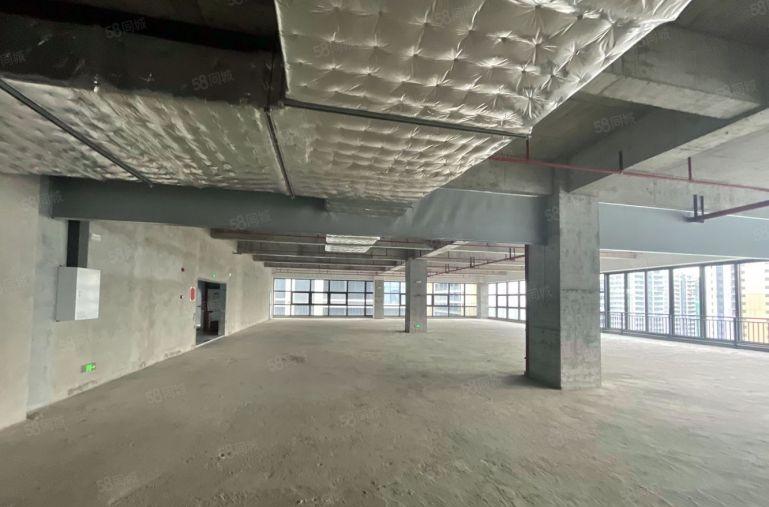 东莞雁田京东智谷 新园区500平至2千平招租 可分租价格可谈