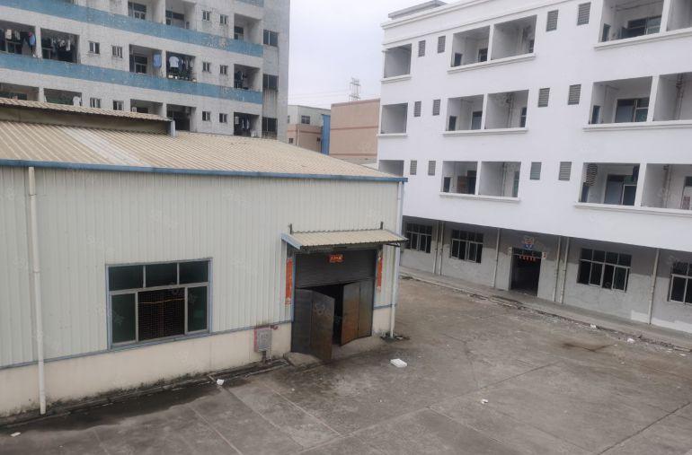 靠近黄江常平桥沥小独院标准厂房仓库分租一楼楼上钢构500平分