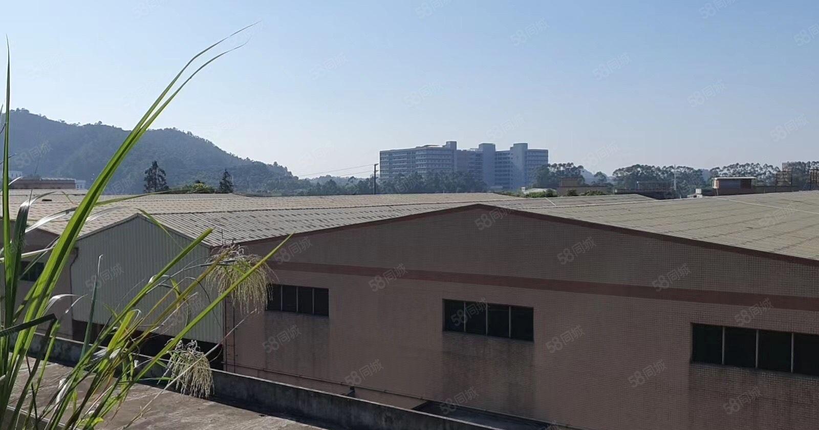 独院钢构厂房出租滴水8米12000平方，水电齐全适合各种行业