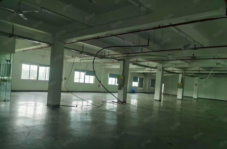 常平易招工小独院低价厂房分租楼上一层1200平方带办公室装修