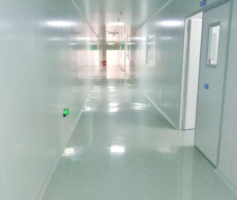 常平无尘车间低价厂房分租楼上1000平方适合手机屏电子模切等