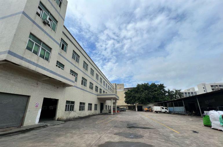 常平桥沥带牛角标准独院可分租空地大