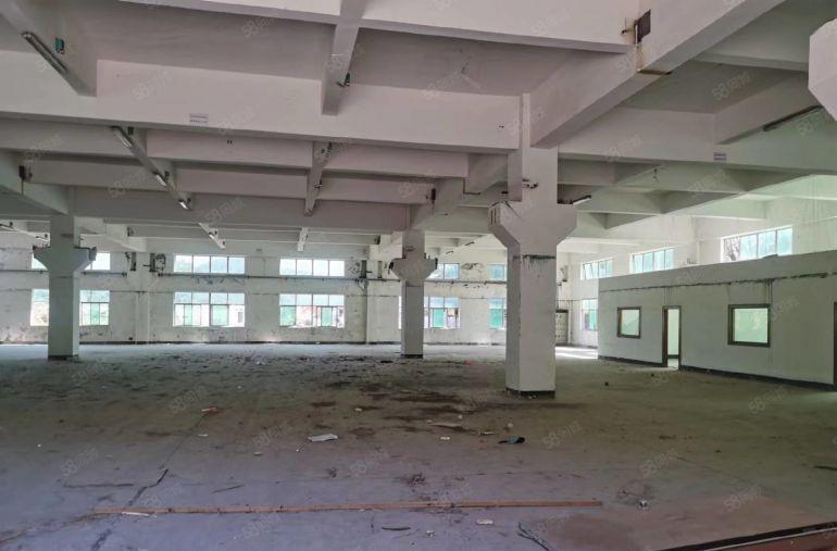 常平大京九塑胶城单一层钢构厂房仓库独院空地大1500平超低价