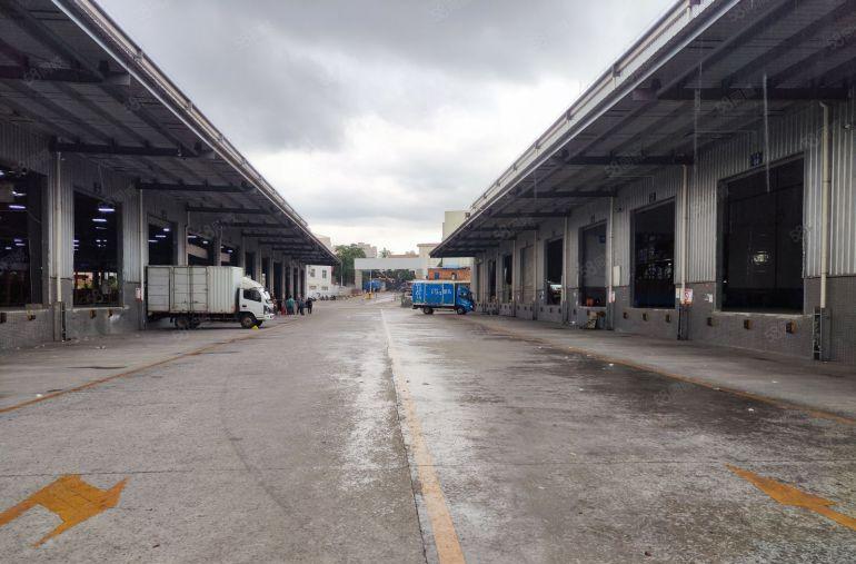 常平镇新出物流园丙二类消防8500平滴水11.5米有卸货平台