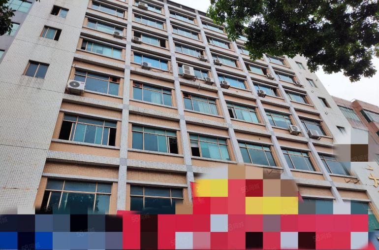 常平镇常马路元江元楼上900平标准厂房原房东价格便宜无公摊