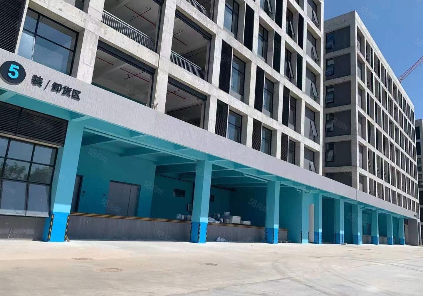 原房东直租常平镇高标红本厂房新建园区15万平大小分租