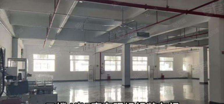 常平镇大型工业园分租2000平方一层，形象大气，交通便利