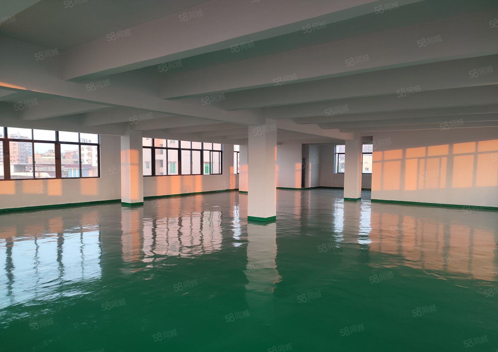 整层厂房出租13元 260平起 全新地坪漆 每层500平