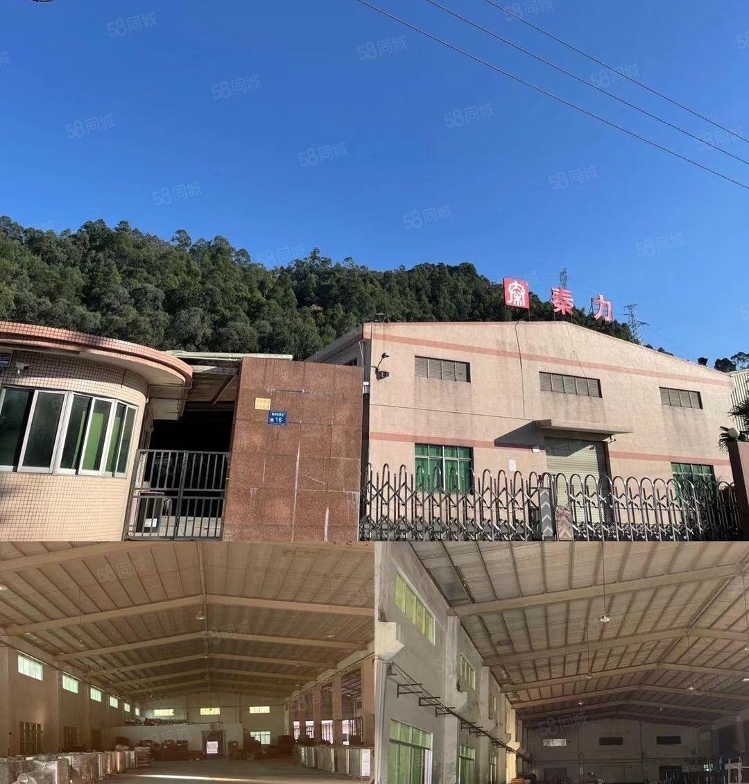 常平独门独院厂房出租