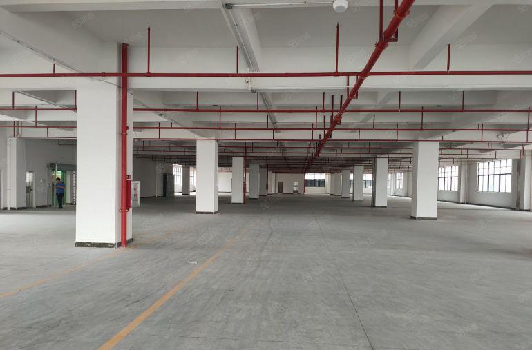 常平镇袁山贝原房东全新独院厂房低价出租12000方证件齐全