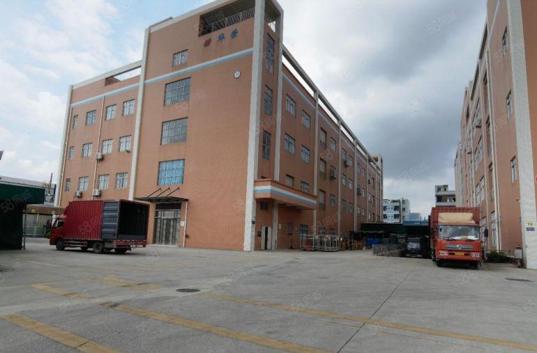 常平靠东坑全新精装修两部三吨货梯带卸货平台