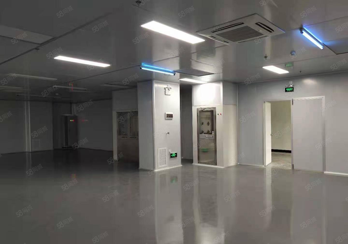 常平新出全新精装十万级无尘车间出租（水电齐全 ）