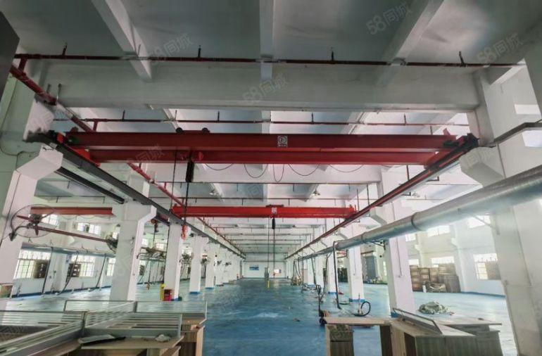 常平原房东独院一楼厂房3300平低价出租，精装修带航车空地大