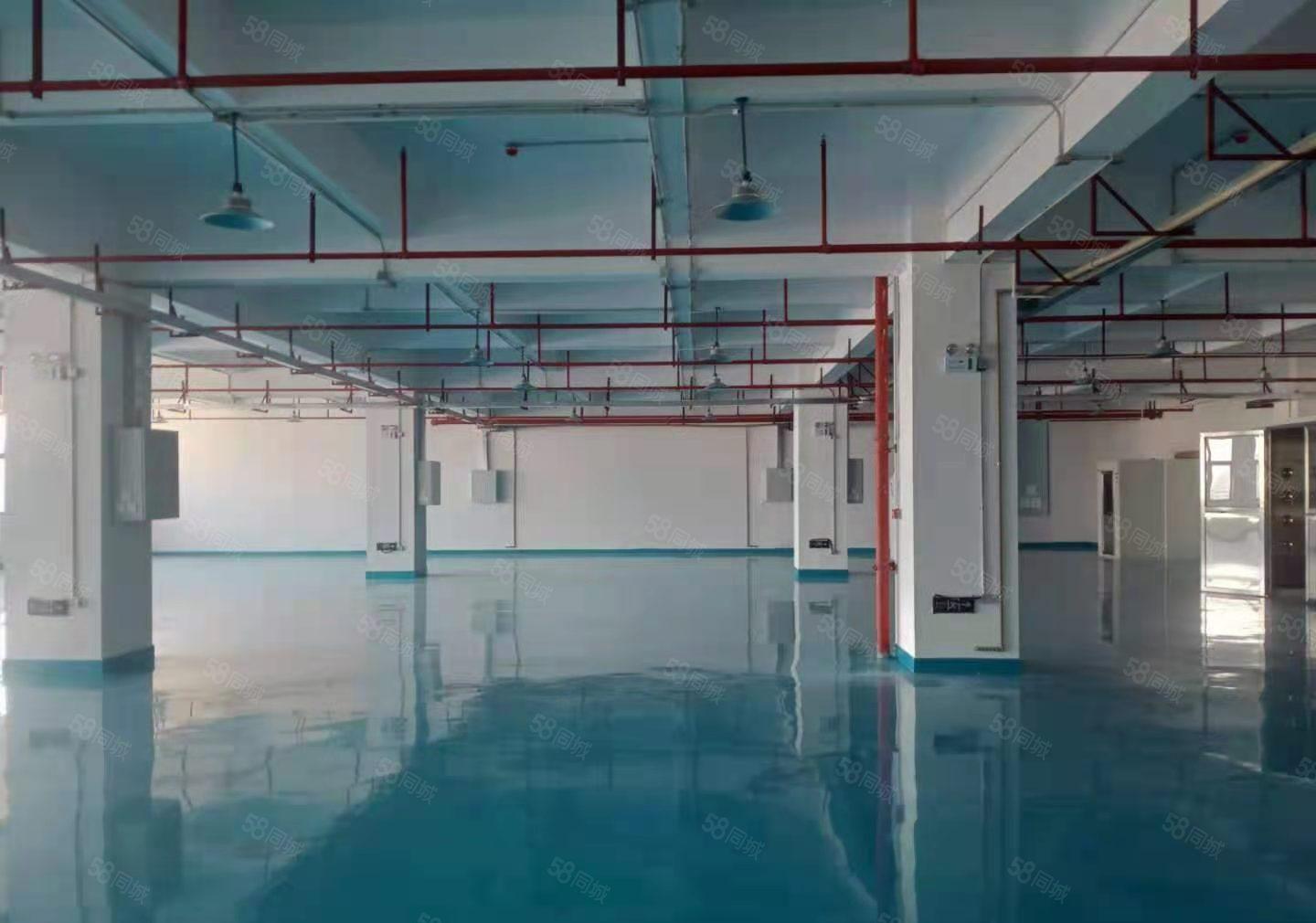 常平镇厂房出租，新空出三楼1100平形象好，价格实惠