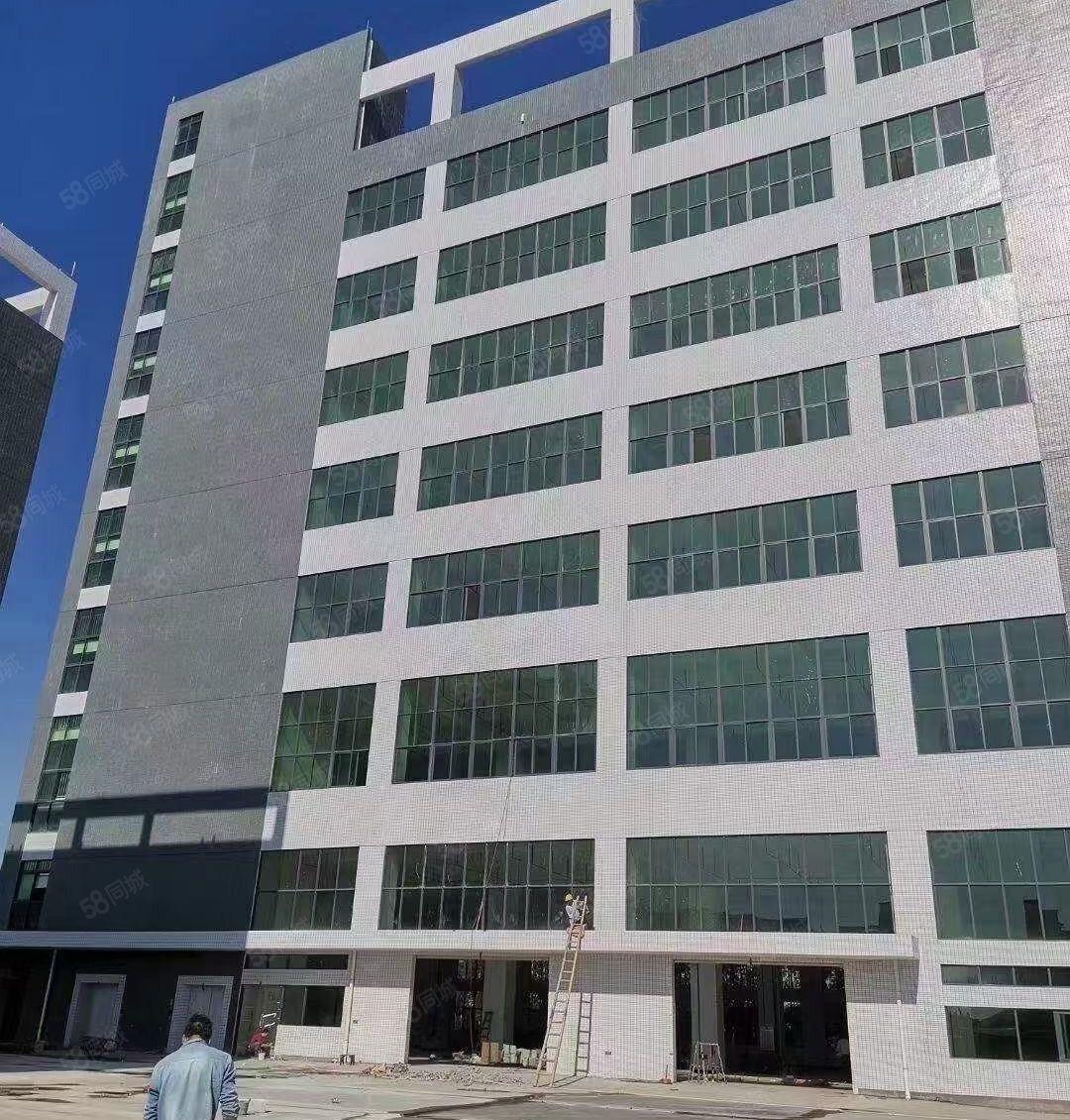 常平土塘全新独门独院厂房出租