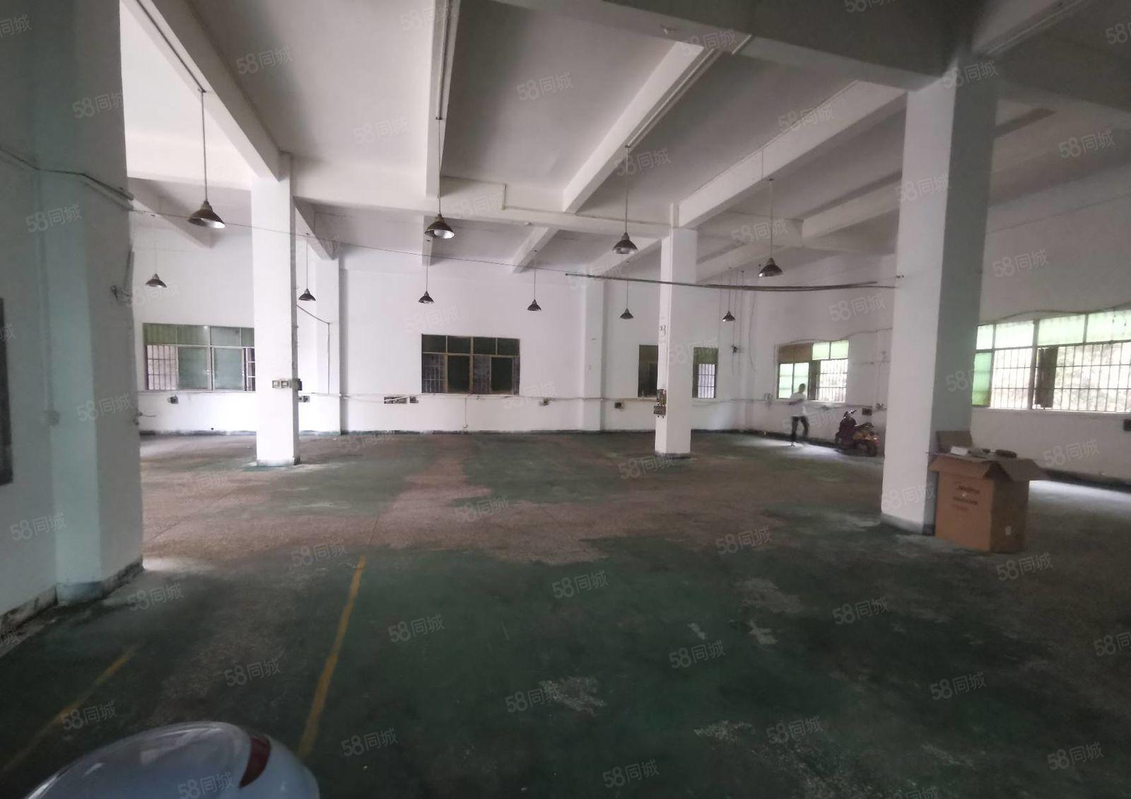 常平原房东一楼550平层高6米实际面积出租