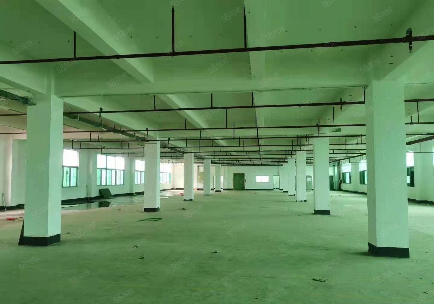 常平镇中心附近厂房出租面积4800平和3千平可以分租