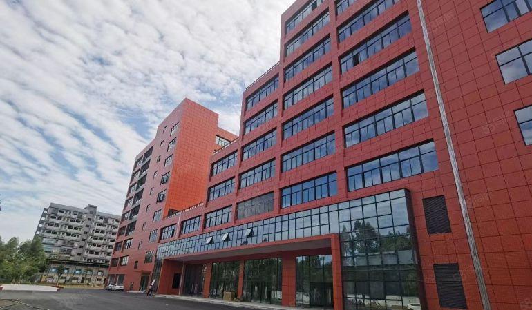 常平新出原房东60000平厂房仓库出租，一楼9米高，大小分租