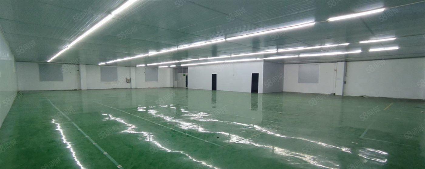 小独院带精装修无尘车间冷库适合食品加工厂医药行业