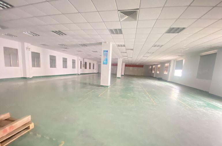 常平  原房东  独院   适合电子五金模具注塑模切硅胶等等