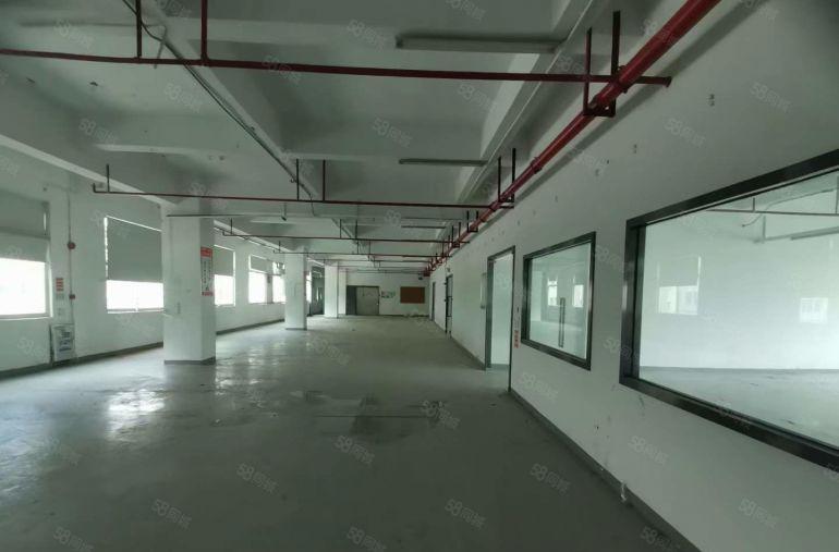 9元价格可谈原房东常平桥头1000平带精装修厂房仓库 可分租