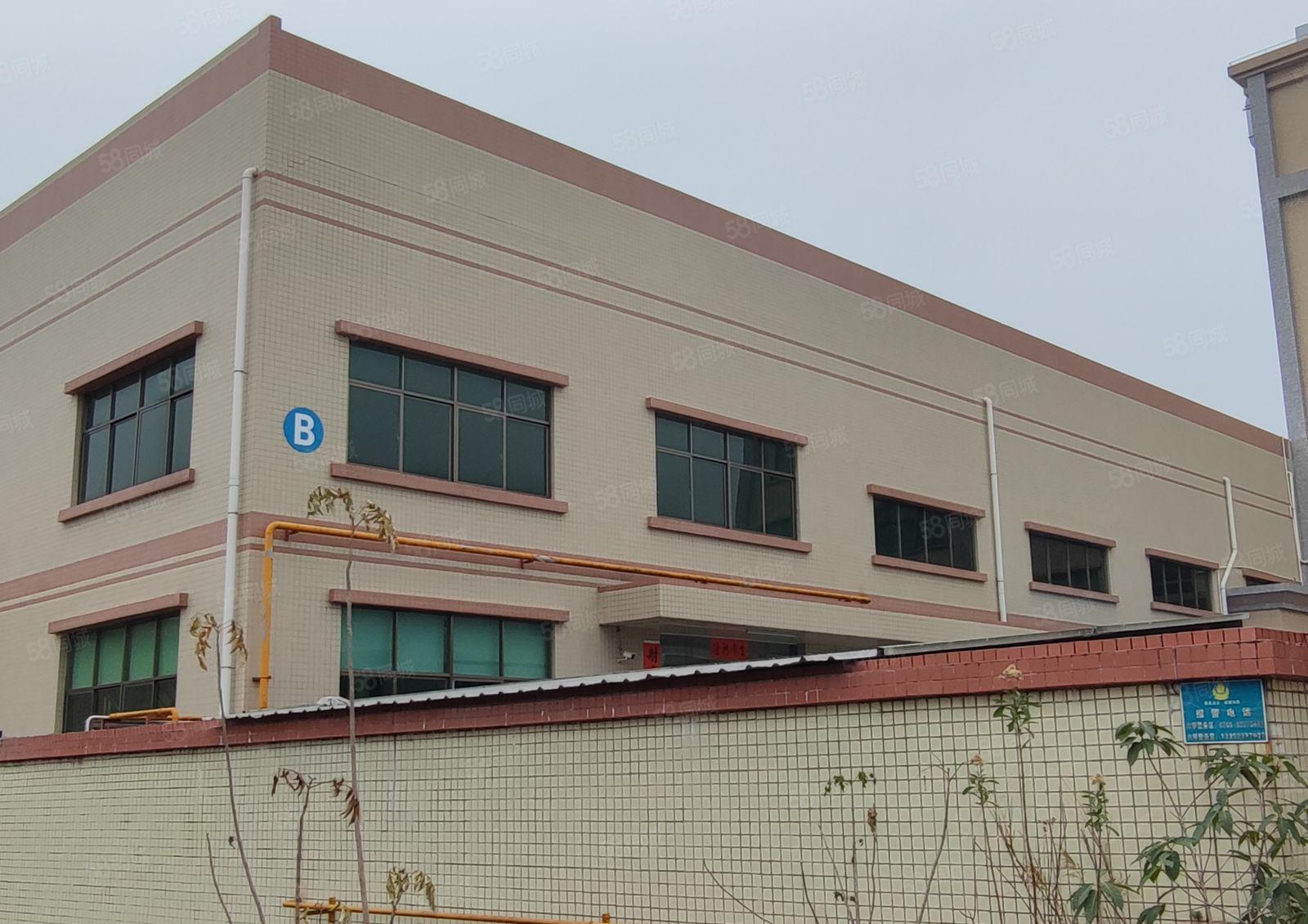 常平镇白石岗工业区原房东低价厂房出租独院3000平方钢结构