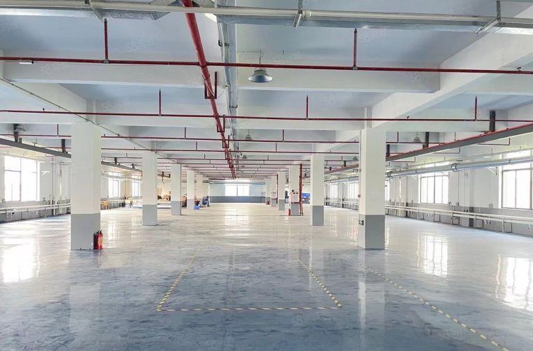 常平镇原房东独院标准带装修厂房出租