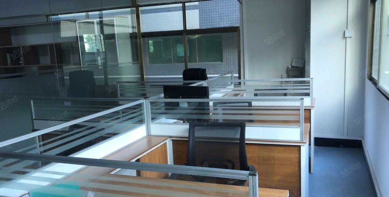 常平新出带阁楼450平一楼厂房层高5米带阁楼豪华装修办公室