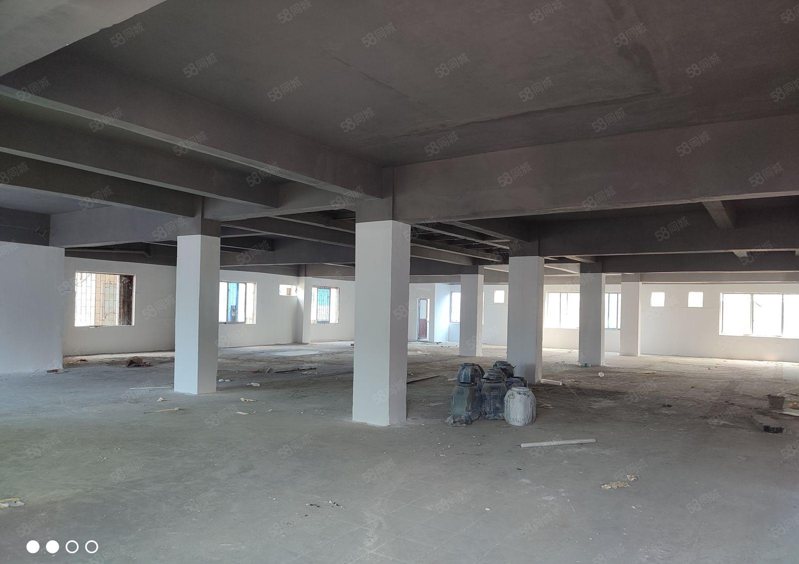 厂房出租 12.5 仓库出租 电梯 无需装修 元江元厂房出租