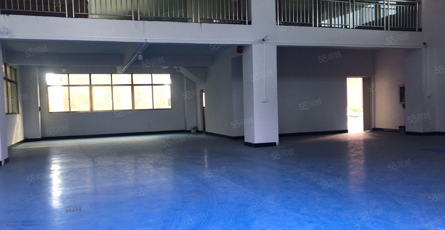 常平新出带阁楼450平一楼厂房层高5米带阁楼豪华装修办公室