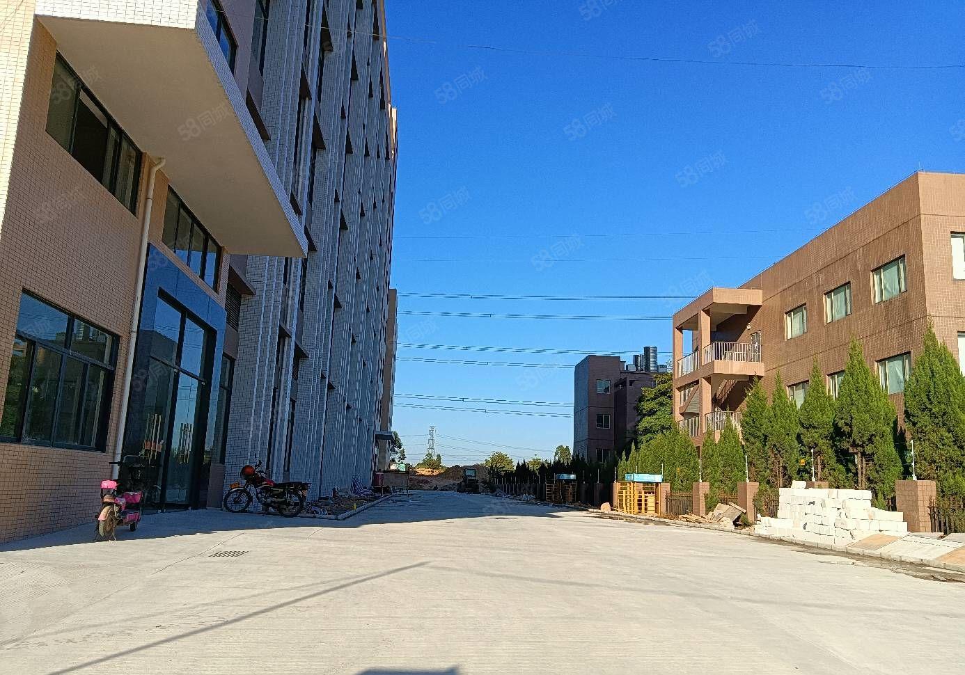 红本厂权，自带环评，证件齐全