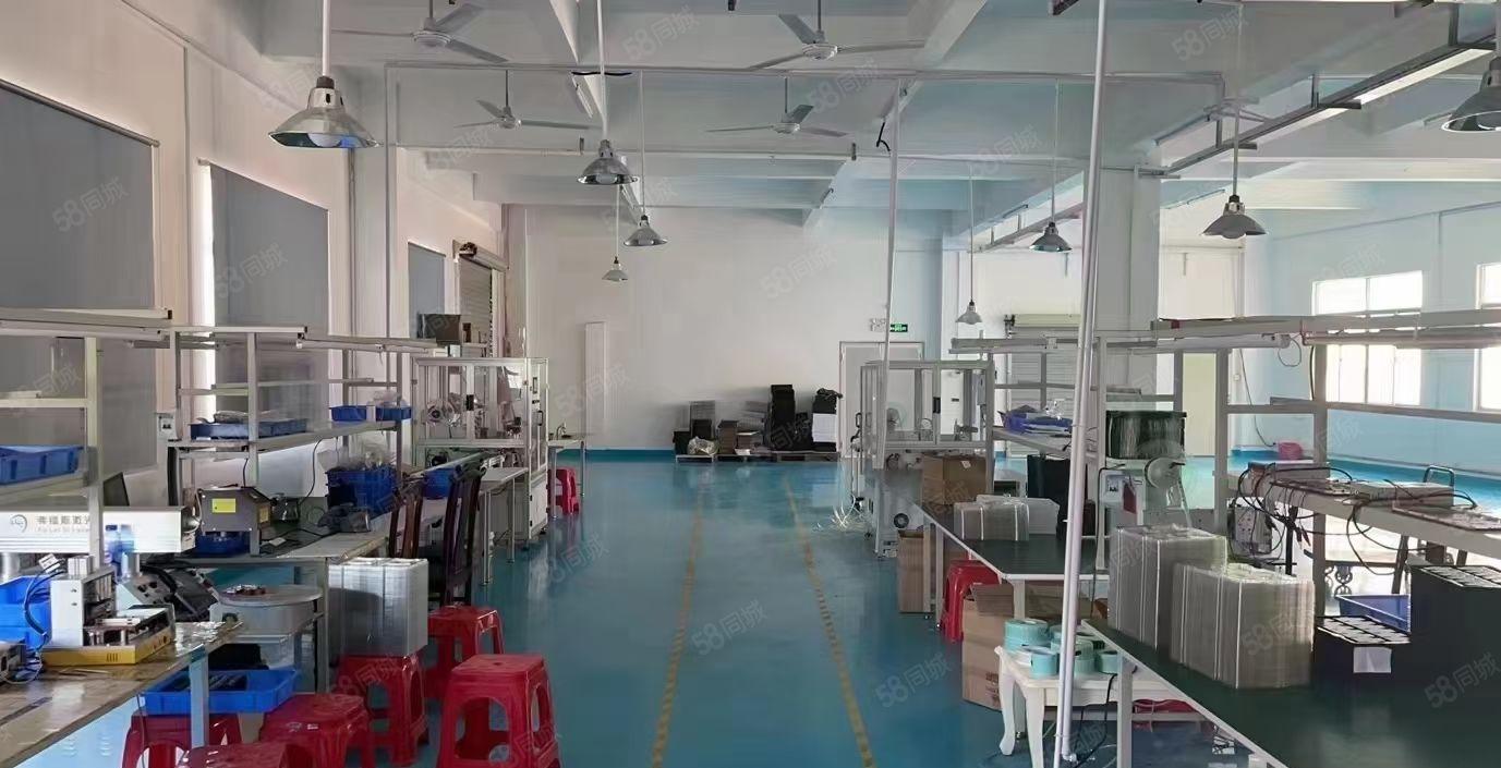 常平黄泥塘新出标准厂房一楼二楼各1200平方米带装修特价出租