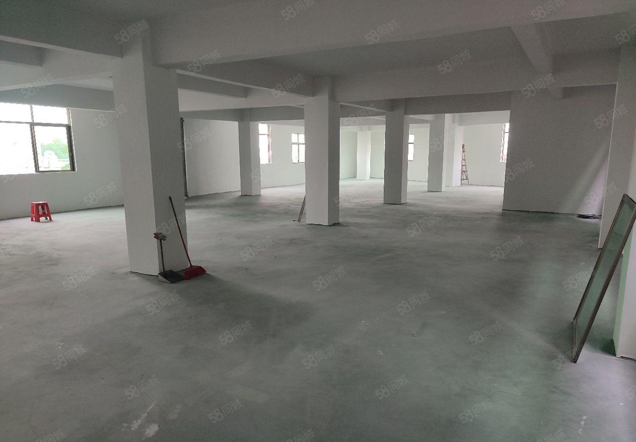 元江元厂房出租 全新厂房 整层出租 可进大货车