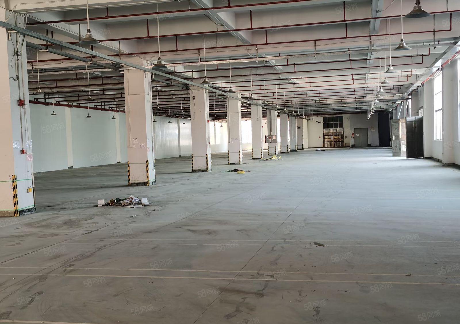 常平岗梓工业区新出标准厂房21000平米，水电装修齐全空地大