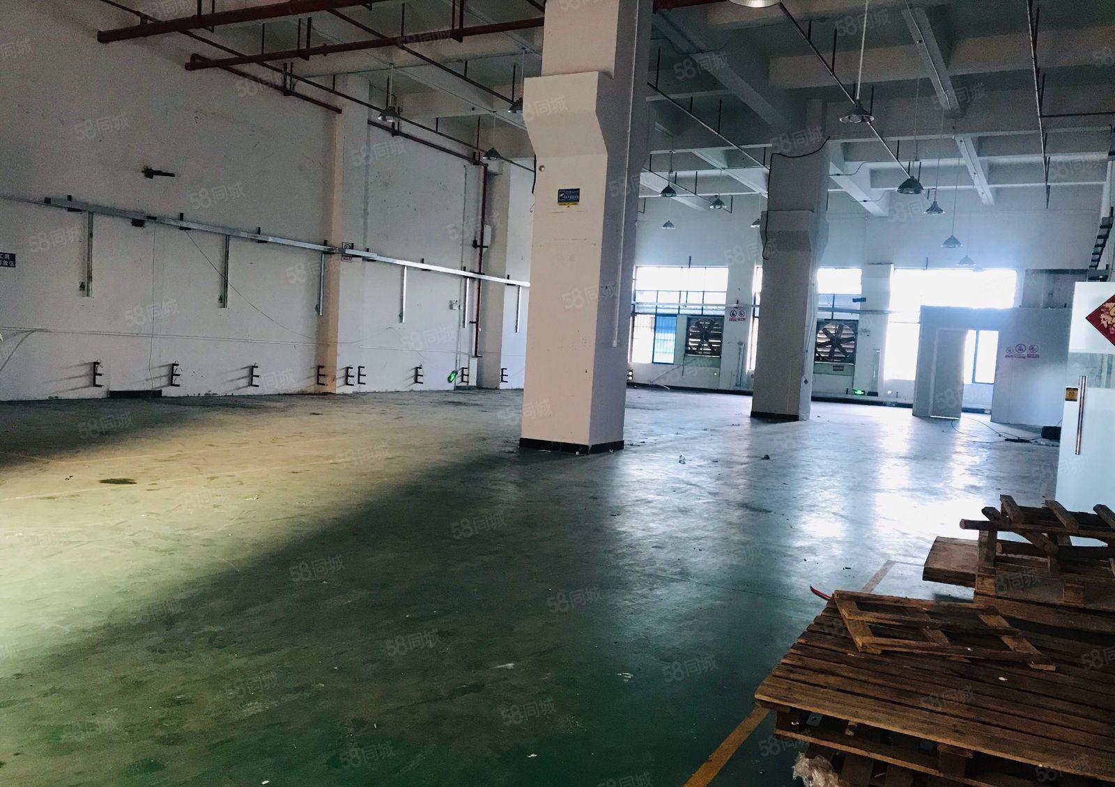 常平园区新出一楼800平带牛角工业用地厂房