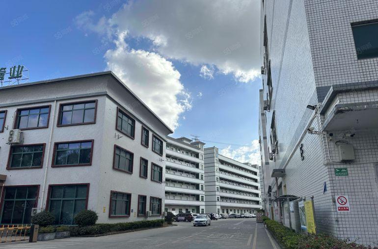 常平高速出口独栋4层10000平带装修空地大厂房仓库出租