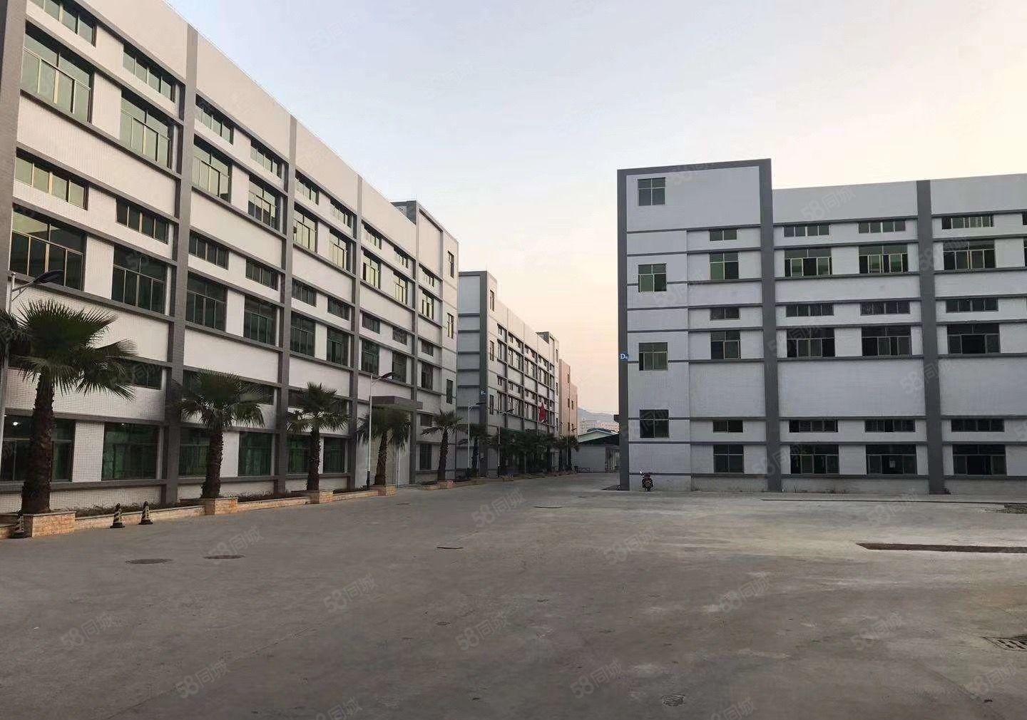 常平园区分租单层面积4500平可分租形象好空地大