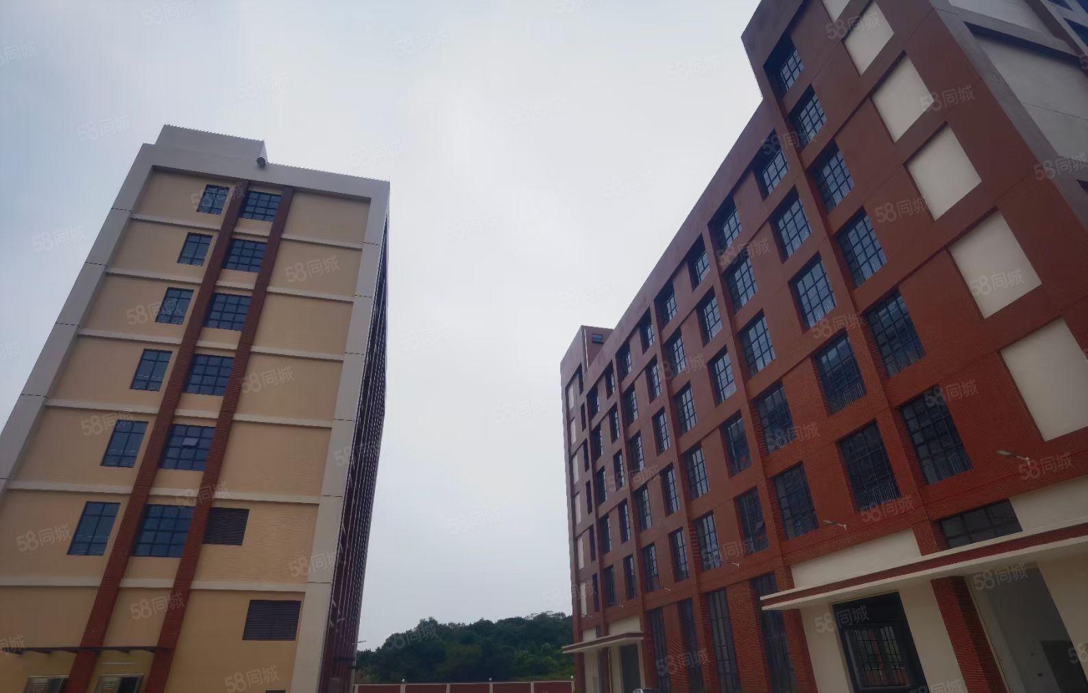 常平环保园厂房招租喷油喷粉注塑等拎包入驻可分租