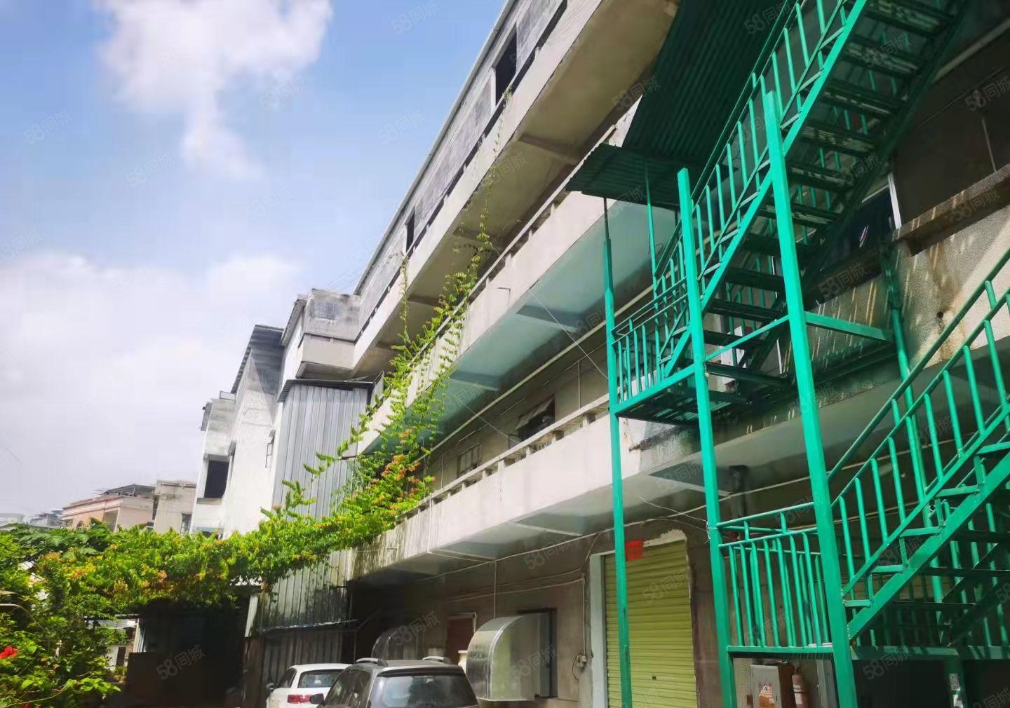 常平朗贝村3000平方独院厂房 ，租金10元 随时可以入驻