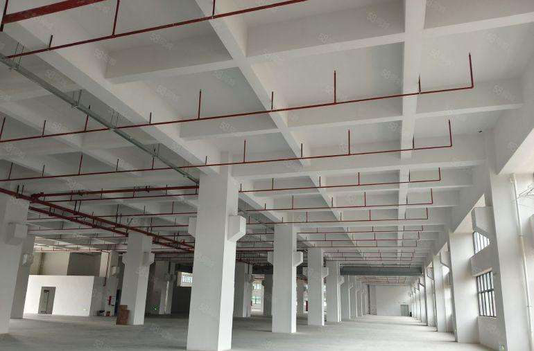 常平镇新出标准31000平方厂房出租，空地大进出方便，形象好