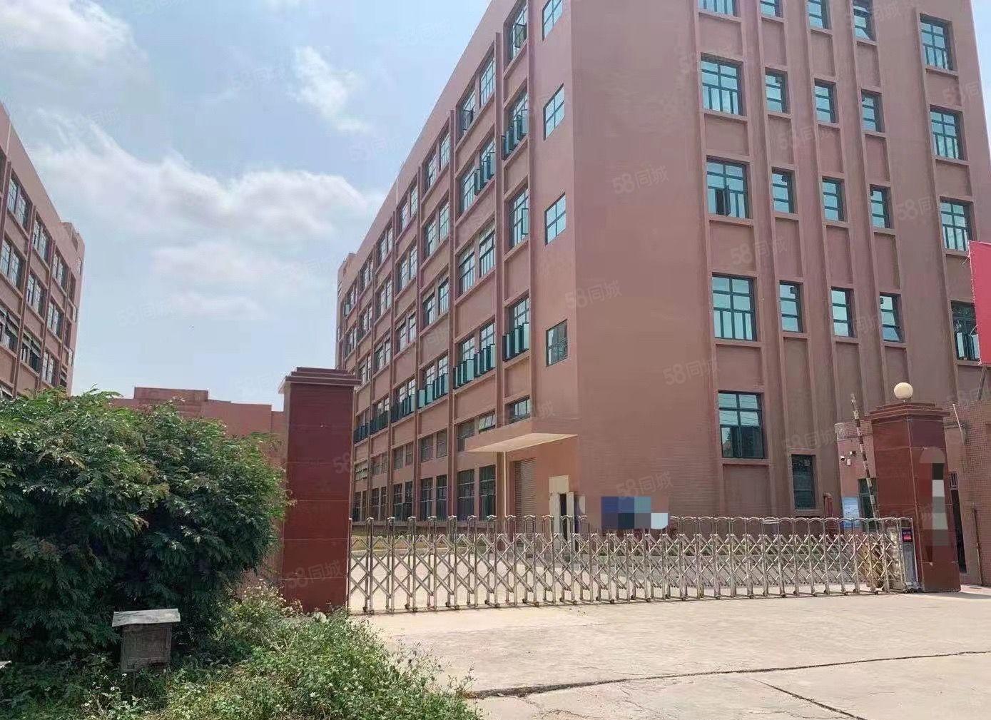 常平1500平标准厂房大小可分租