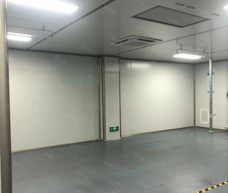 常平原房东厂房出租1800平带无尘车间精装修办公室