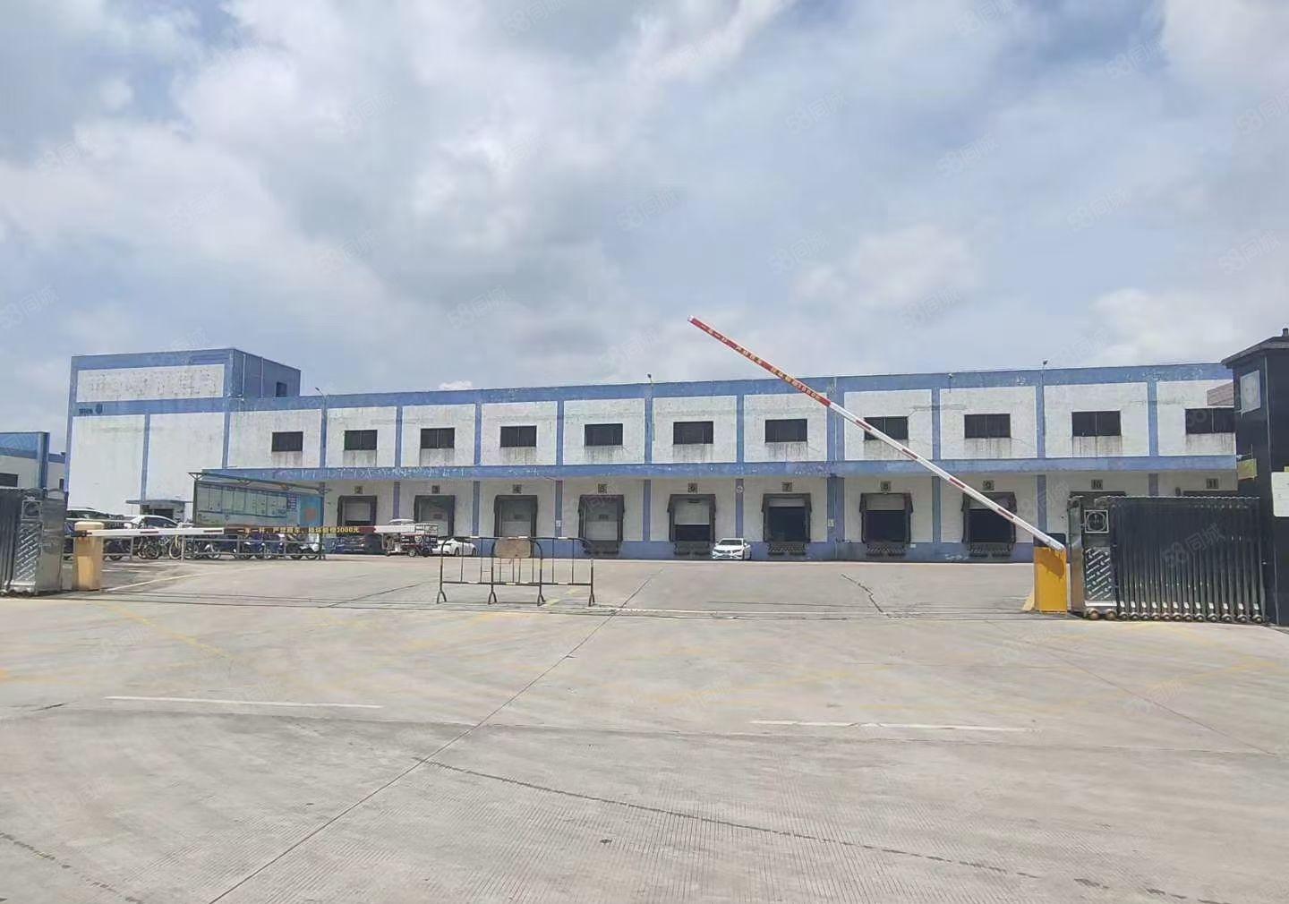 常平新出钢构厂房仓库出租3900平方 空地大 9米高可办环评