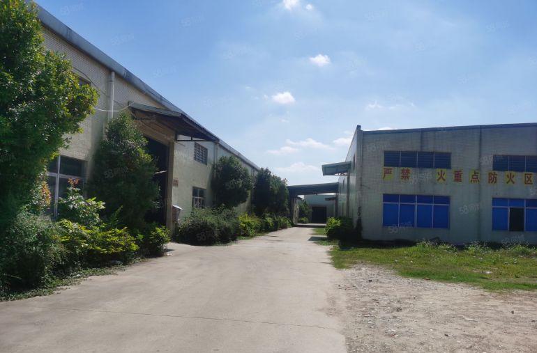 常平司马单一层钢构滴水8米厂房分租独栋3000平方可低价分租