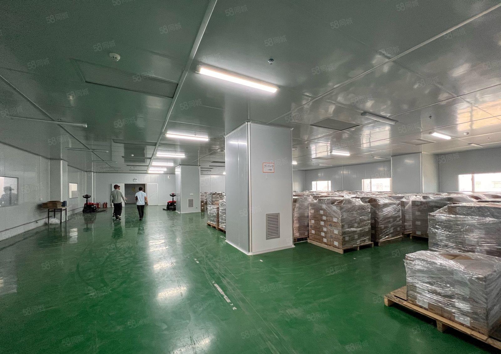 木轮工业园 无尘车间1600平厂房出租 5吨大货梯！形象好！