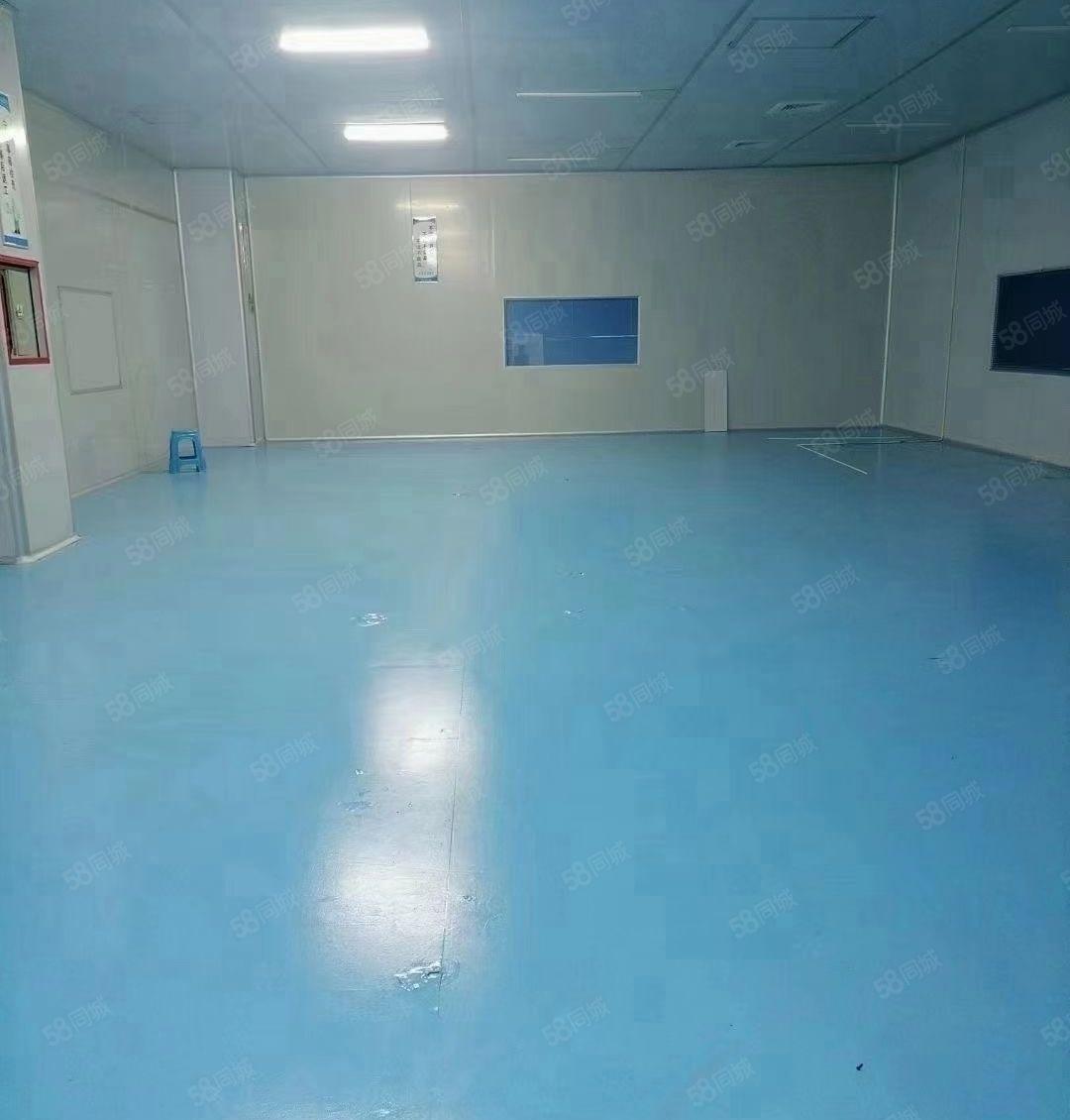 常平镇1200平豪华装修无尘车间转让