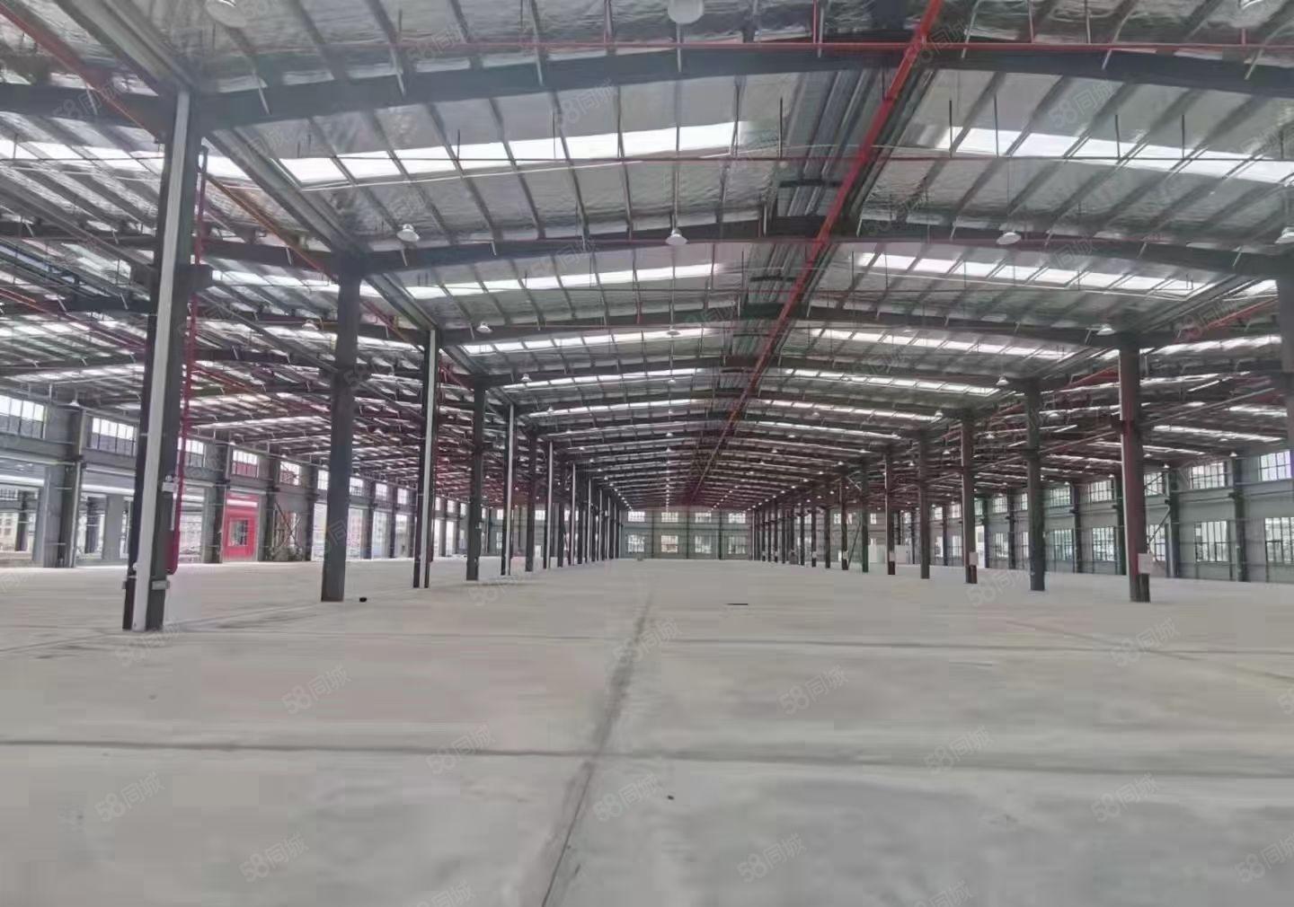 常平镇原房东全新物流厂房出租 带卸货平台