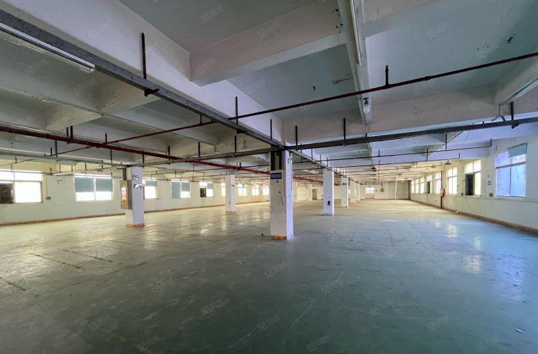 常平独院厂房出租6000平，格局方正适合电子五金塑胶家居