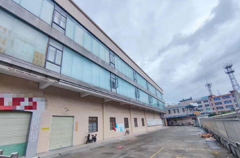 常平桥沥原房东3000平方，首层6米，豪华装修