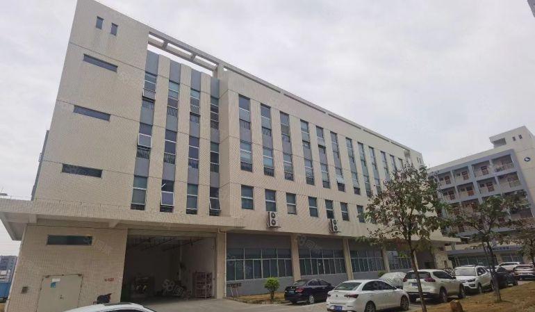 常平高速口新出红本8000平独栋厂房仓库出租，形象好大小分租